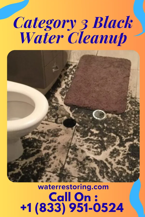 Category 3 Black Water Cleanup in Galt, IA