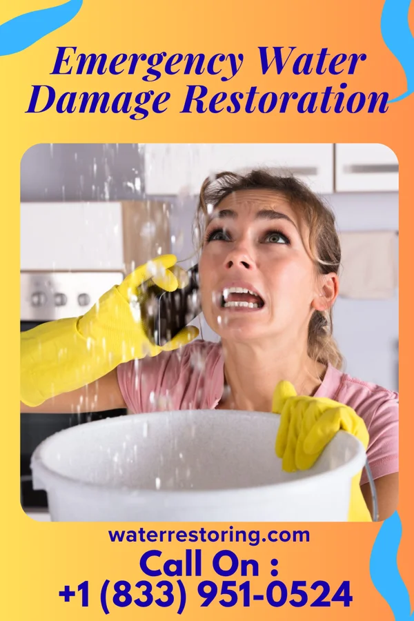Emergency Water Damage Restoration in Galt, IA